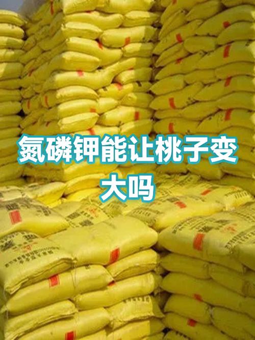 n\n* 氮元素:促进枝叶生长,为果实发育提供能量工厂\n\n* 磷元素